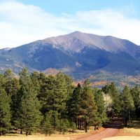 Image is of the San Francisco Peaks in Flagstaff, Arizona, with a dirt road leading into a thicket of trees in the foreground