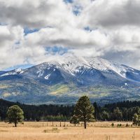 Image is a high def photo of the San Francisco Peaks in Flagstaff, Arizona, with a large field of grass in the foreground