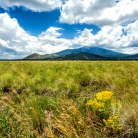 Image is of the San Francisco Peaks in Flagstaff, Arizona, with a large field of grass in the foreground